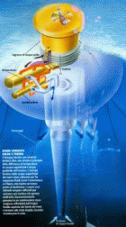 enewrgia dal gradiente termico dell'acqua